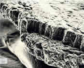 Научно-исследовательские направления